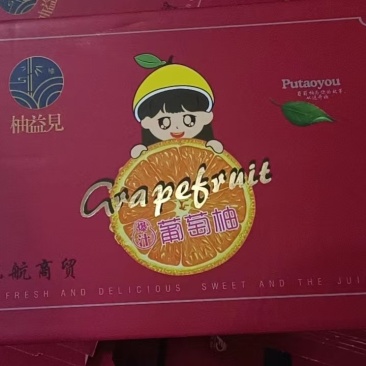 高碑店新发地-乐航商贸葡萄柚