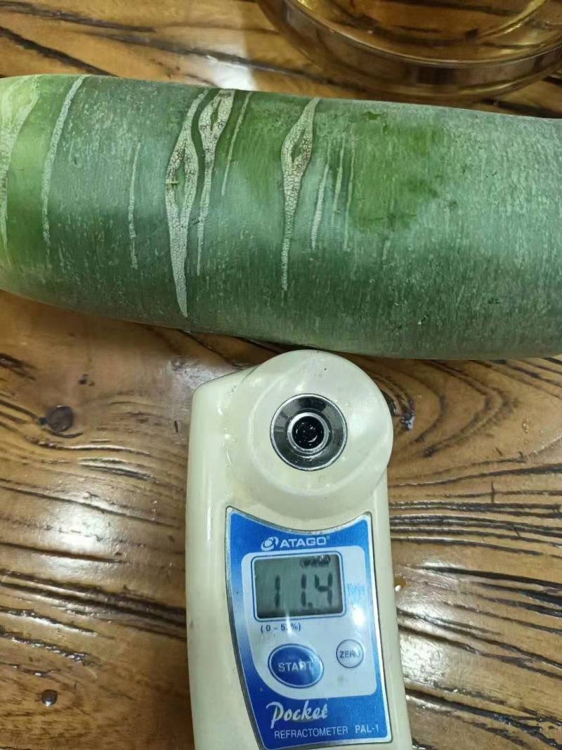 山东潍坊水果萝卜大量上市供货至春节农户负责拨萝卜装车免费
