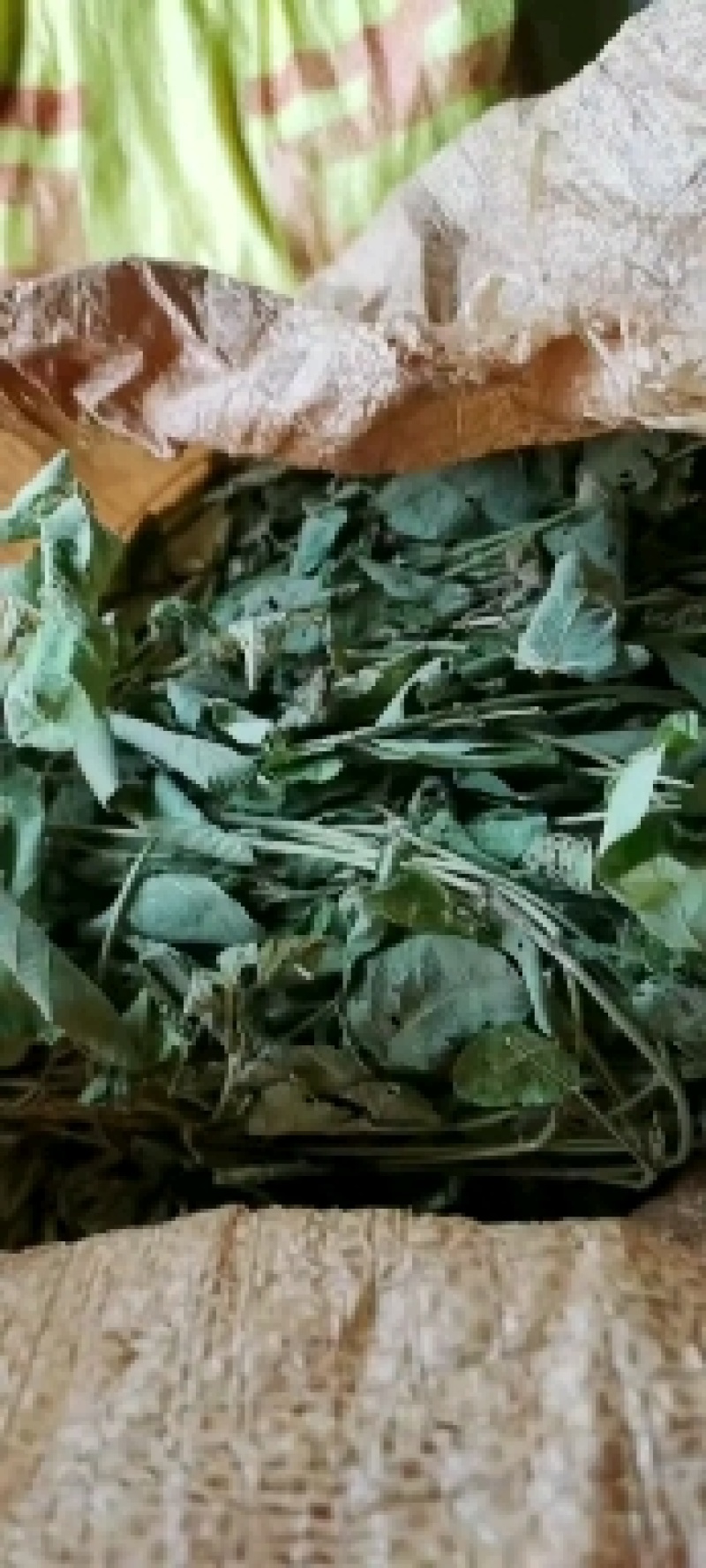 广西野生狸尾草，降！降！降价了！便宜卖！量大可以优惠！