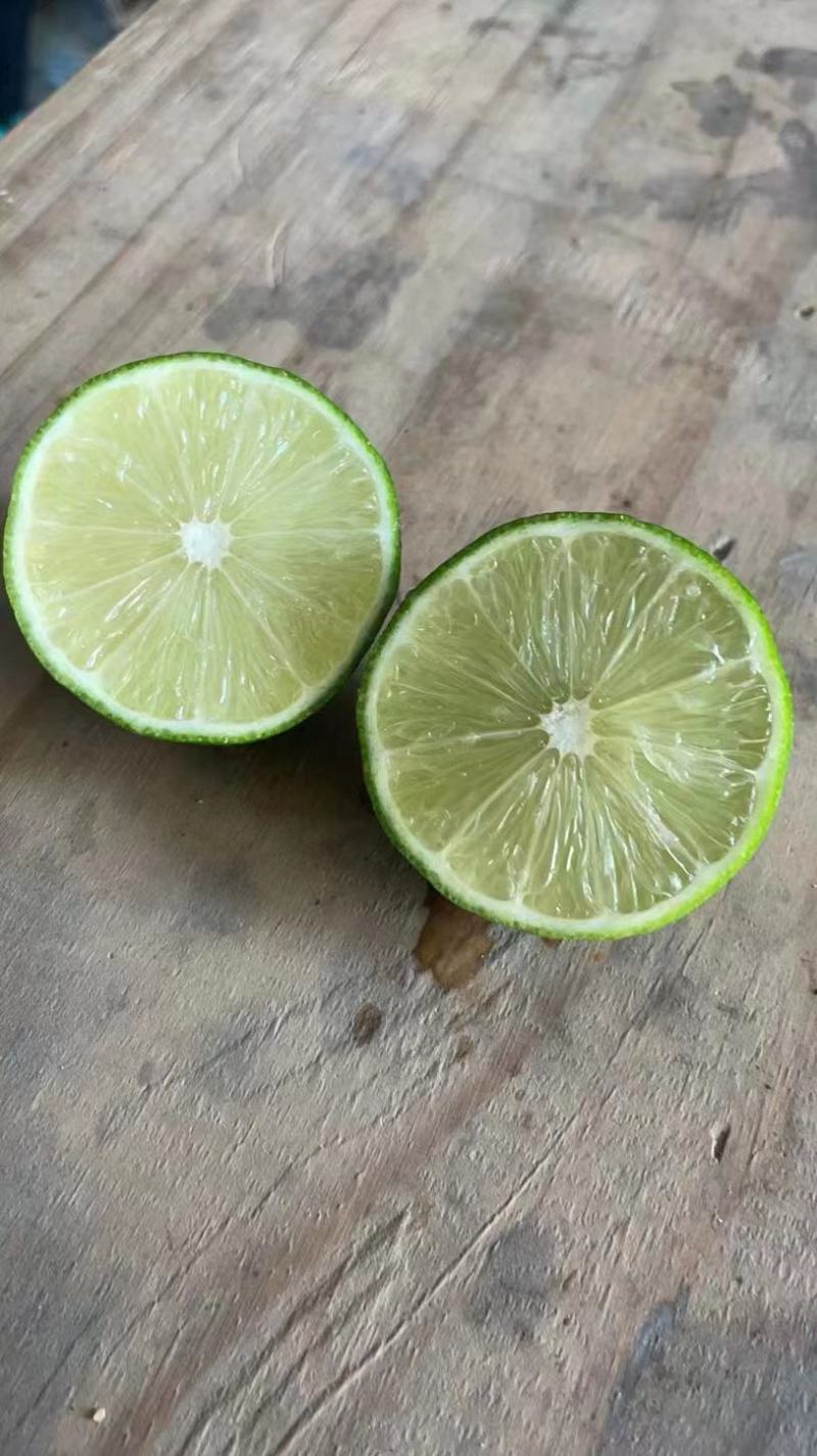 泰国无籽青柠檬塔西提品种