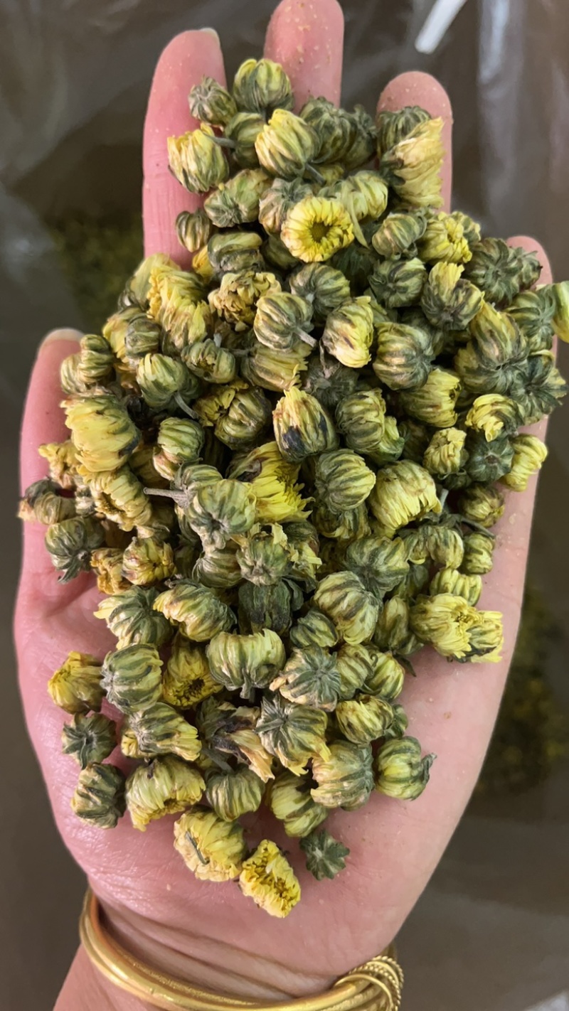 胎菊实图实拍干净无杂质颜色好欢迎大家下发文斌药业
