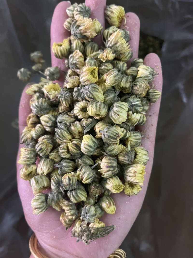 胎菊实图实拍干净无杂质颜色好欢迎大家下发文斌药业