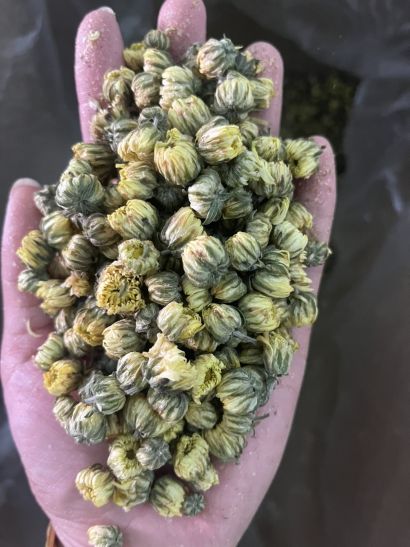 胎菊实图实拍干净无杂质颜色好欢迎大家下发文斌药业