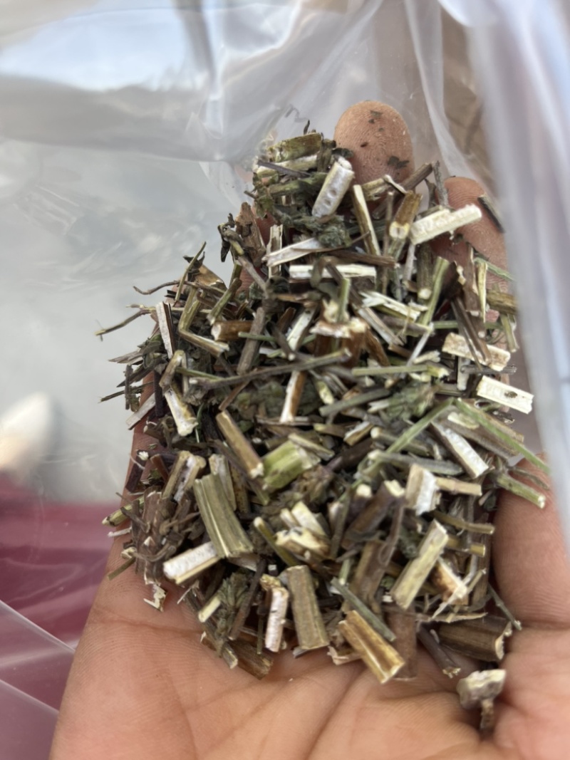 荆芥。全荆芥过筛干净新货上市低价出售文斌药业
