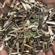 荆芥。全荆芥过筛干净新货上市低价出售文斌药业