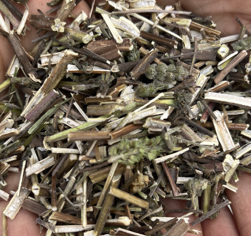 荆芥。全荆芥过筛干净新货上市低价出售文斌药业