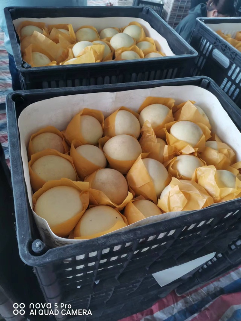 江苏产地高甜度金秋红蜜白桃