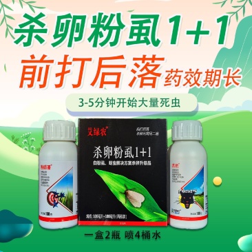 杀卵粉虱1+1白粉虱烟粉虱蚜虫前打后落杀虫杀卵粉虱药
