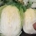 大量出货精品大白菜，3到5斤左右好货，货源充足