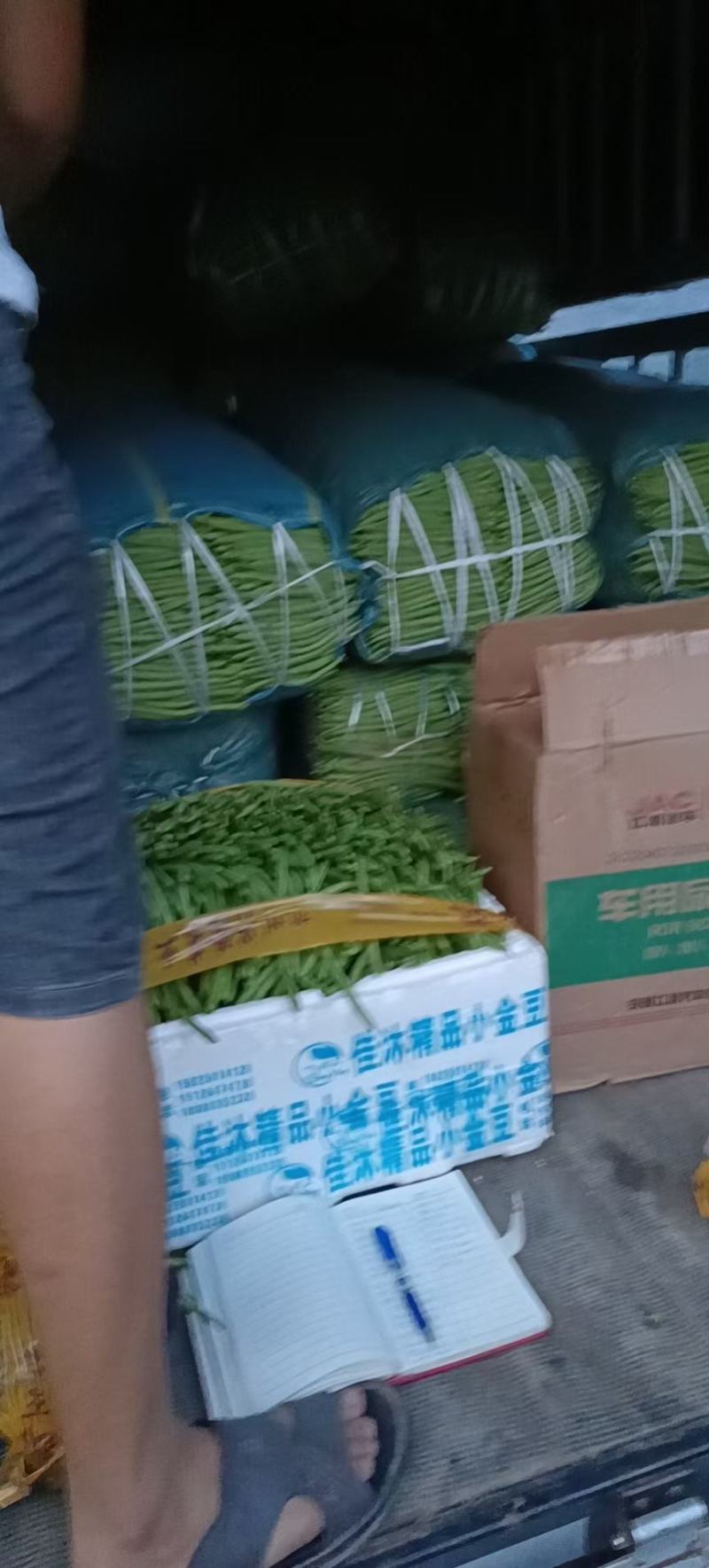 小金豆
