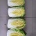 精品兰州大白菜大量有货
