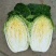 精品兰州大白菜大量有货