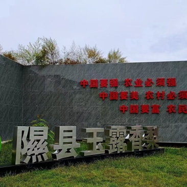 隰县玉露香玉露香是个梨