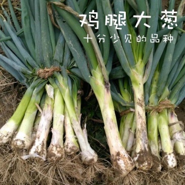 无极精品鸡腿大葱