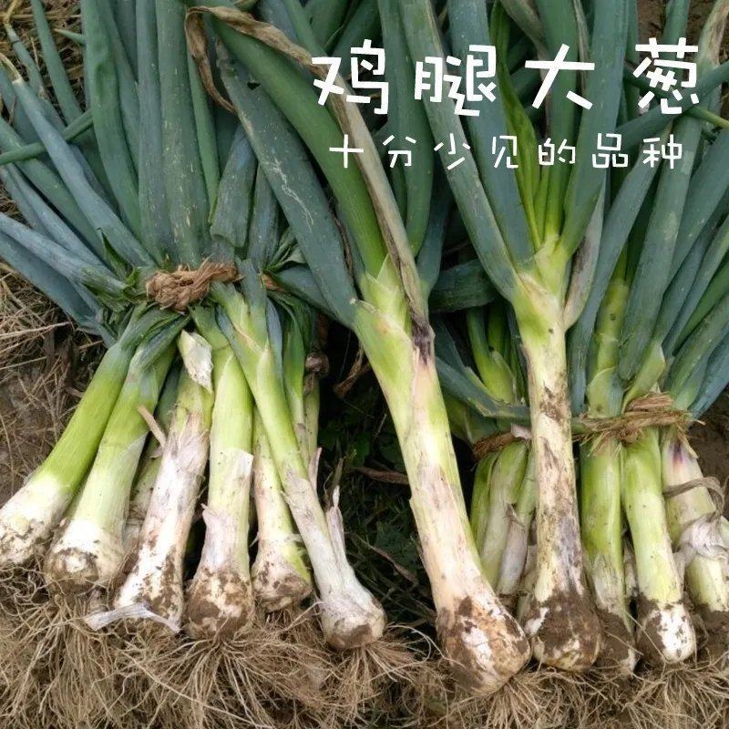 无极精品鸡腿大葱