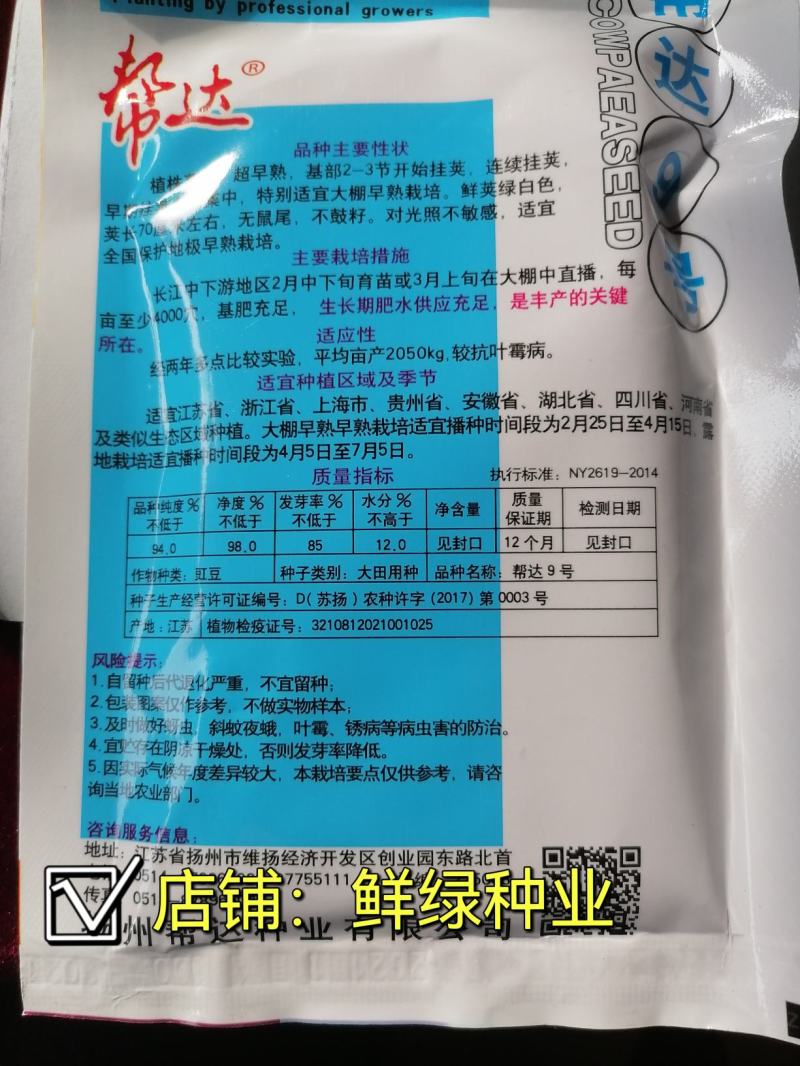 帮达9号豇豆全国保护地超早熟栽培无鼠尾不鼓籽、鲜荚绿白色