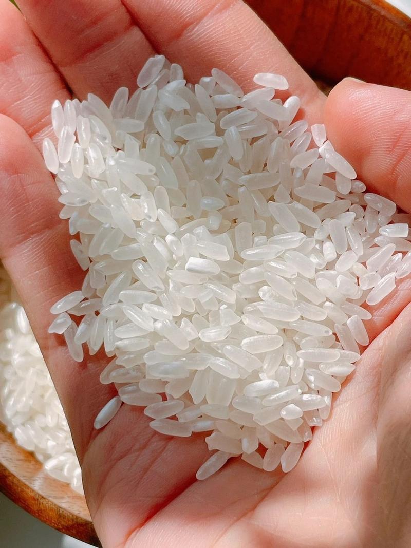 2022年新米五常大米稻花香2号5斤量大优惠一件代发