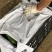 新苗毛节瓜