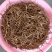湖南省祁东县蒸晒干黄花菜量大从优品质保证