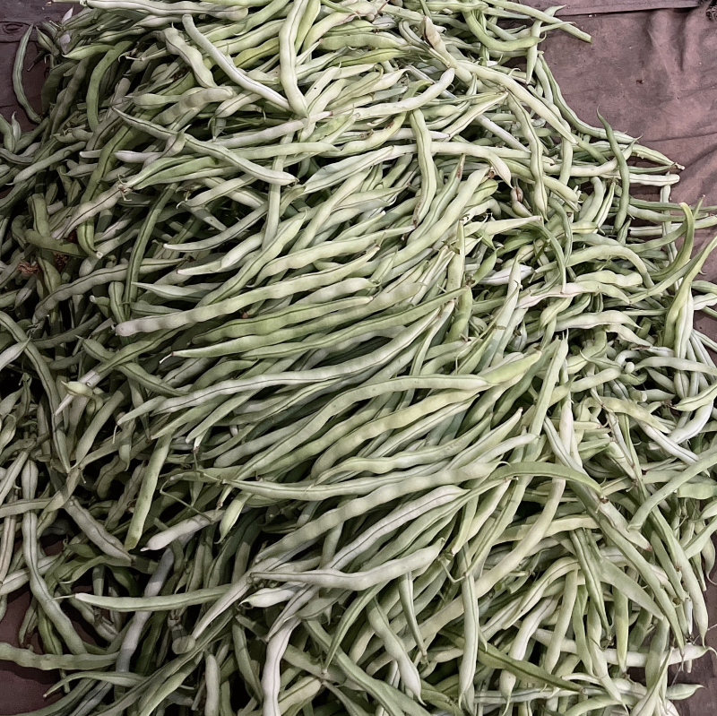 精品白乌丝，白豆王，物美价廉好货，有需要的速速订购