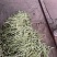 精品白乌丝，白豆王，物美价廉好货，有需要的速速订购