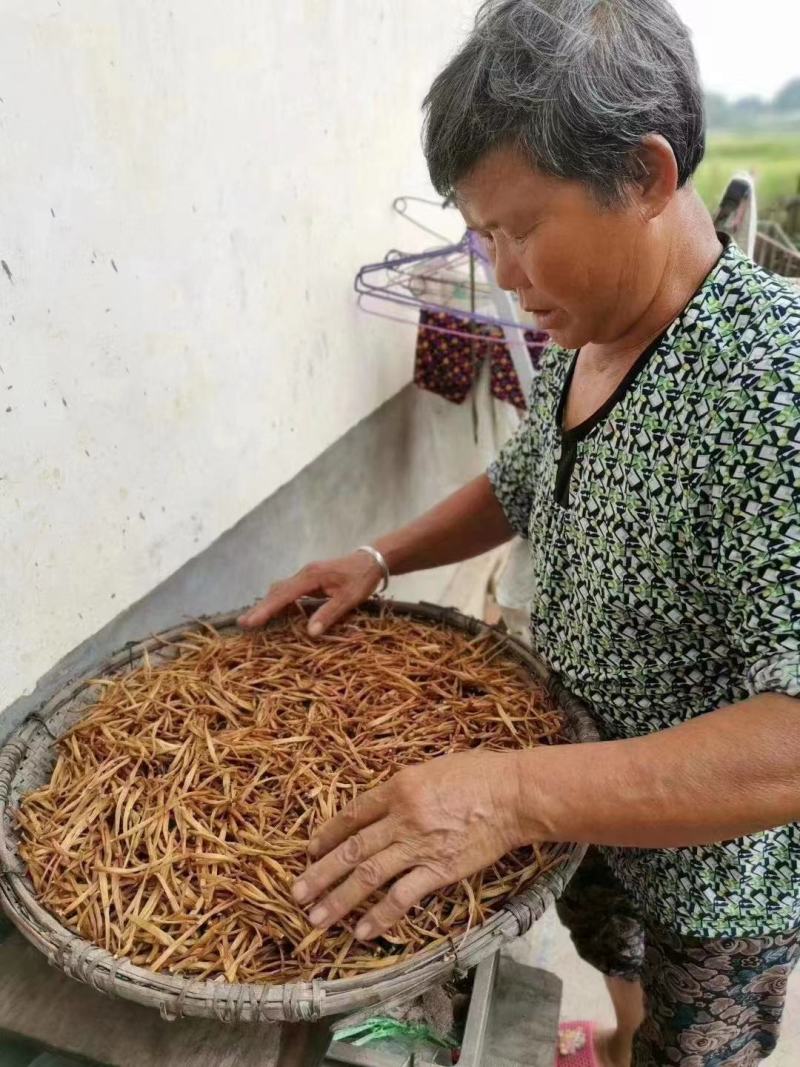湖南省祁东县蒸晒干黄花菜量大从优品质保证
