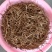 湖南省祁东县蒸晒干黄花菜量大从优品质保证