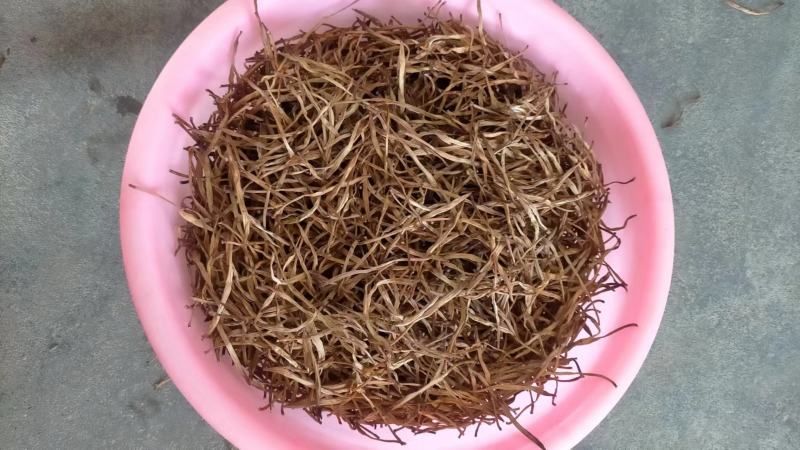 湖南省祁东县蒸晒干黄花菜量大从优品质保证