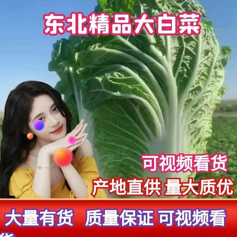 吉林白菜产区精品456纯黄芯产地直发大量有货
