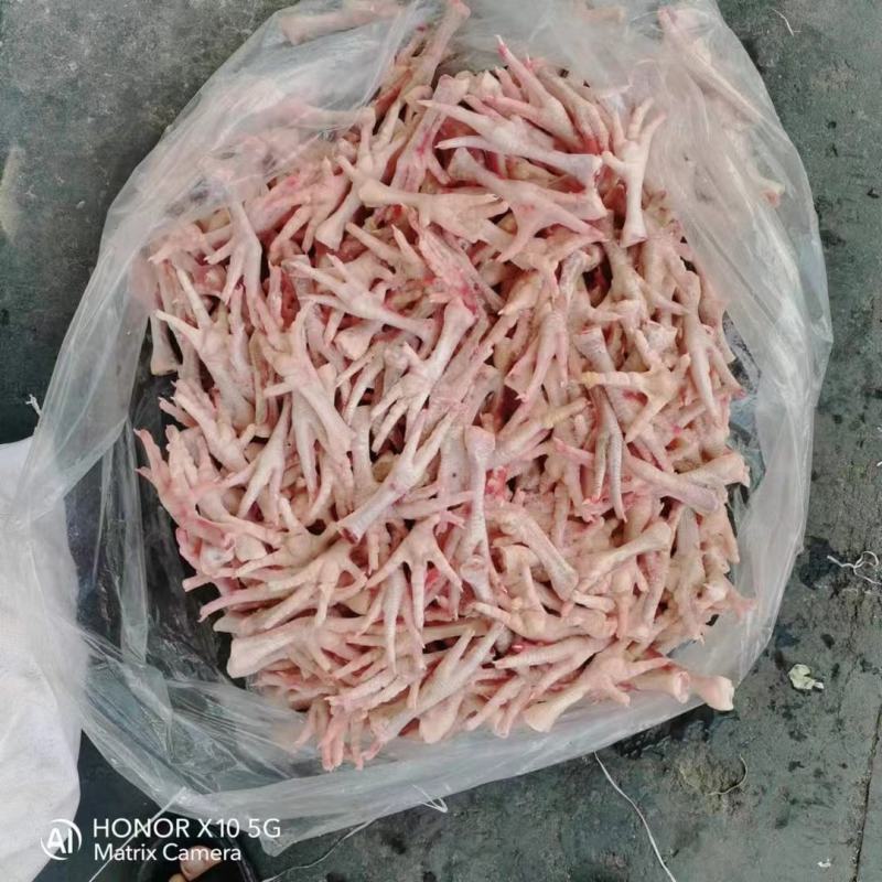 精选鸡爪山东精选特优鸡爪品质好量大从优欢迎下单