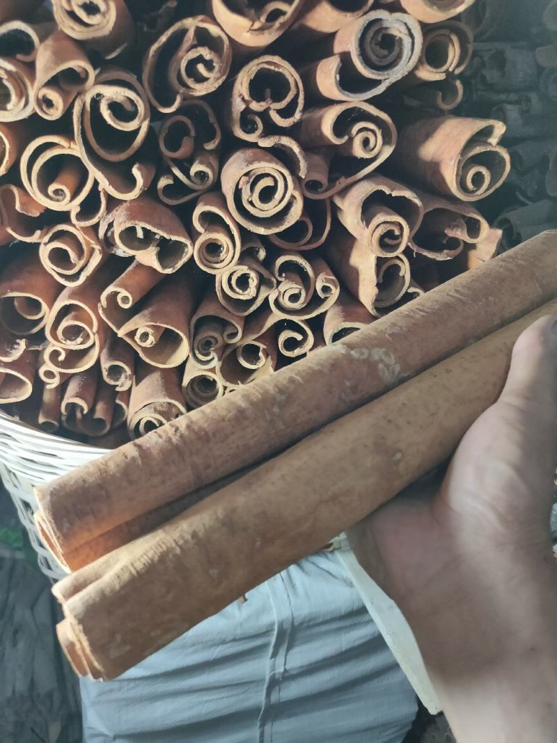 广西平南桂皮刮皮桂通自采生晒精选农家货一件代发