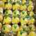 安岳尤力克柠檬，皮薄多汁产地直发价格优惠量大从优