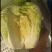 青岛平度黄心大白菜大量上市，棵大圆正，毛的，净的！