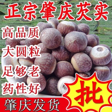 【肇庆发货】12厘大粒芡实肇实鸡头米多规格可选包邮