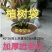 无纺布育苗袋营养袋一次性可降解花盆育苗容器