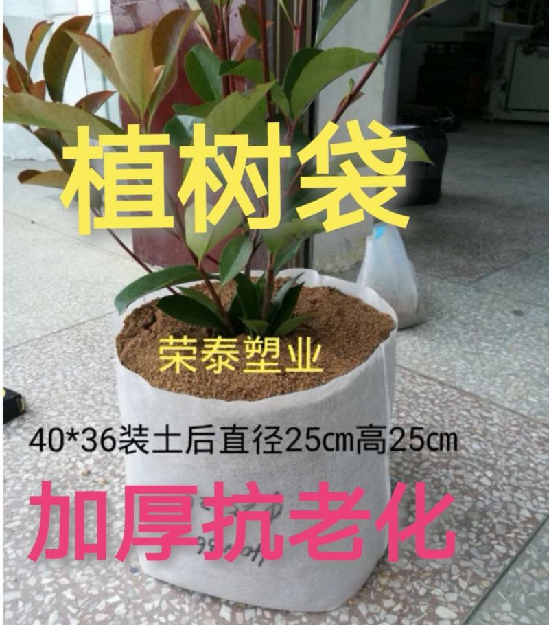 无纺布育苗袋营养袋一次性可降解花盆育苗容器
