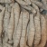 产地今天回货10年大叶新鲜牛大力