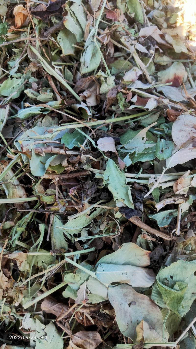 花生秧，养殖用，压块压块的，无土无膜，保质保量