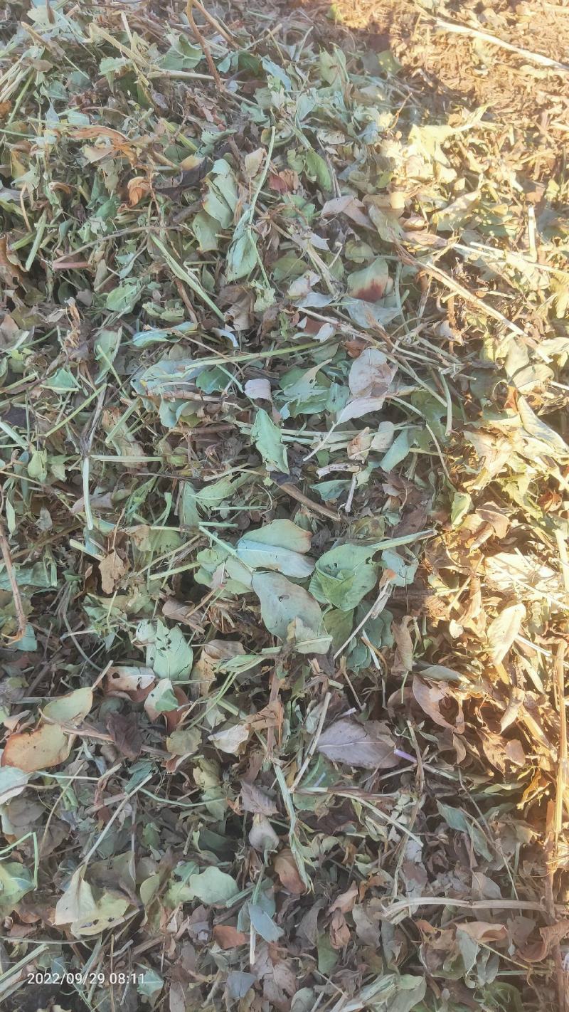 花生秧，养殖用，压块压块的，无土无膜，保质保量