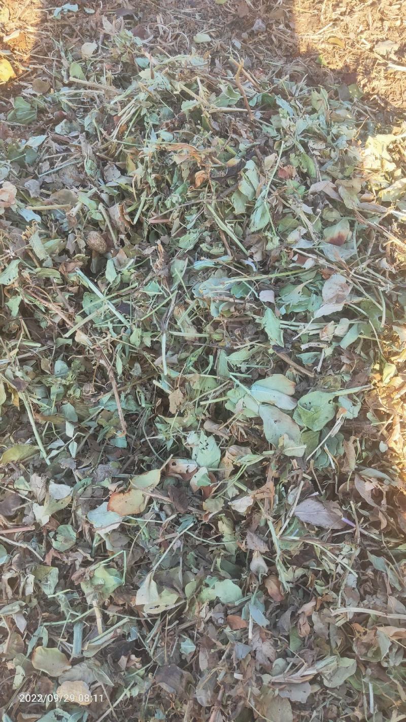 花生秧，养殖用，压块压块的，无土无膜，保质保量