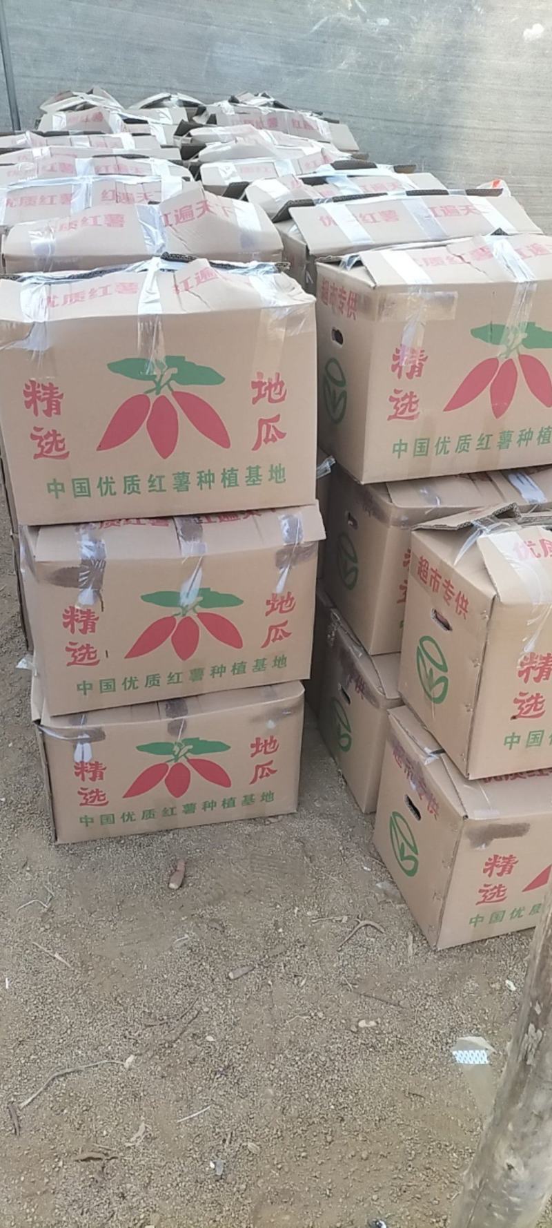 红薯西瓜红蜜薯邹城丘陵地产地直供