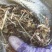 花生秧，养殖用，压块压块的，无土无膜，保质保量