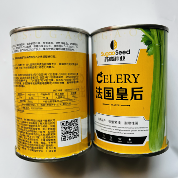 法国皇后西芹种子品种
