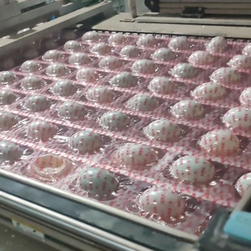 咸鸭蛋泥腌红油油咸鸭蛋咸鸭蛋厂质量保证价格便宜欢迎联系