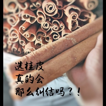 广西平南桂皮刮皮桂通自采生晒精选农家货一件代发