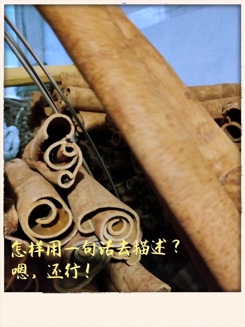 广西平南桂皮刮皮桂通自采生晒精选农家货一件代发