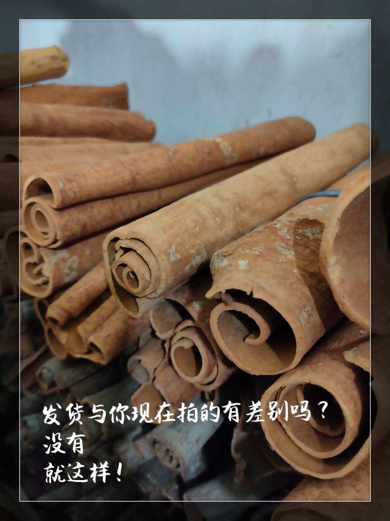 广西平南桂皮刮皮桂通自采生晒精选农家货一件代发