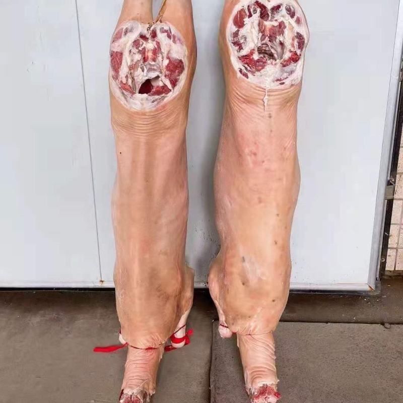带皮羊冻羊白条羊内蒙羊肉直条羊标准羊