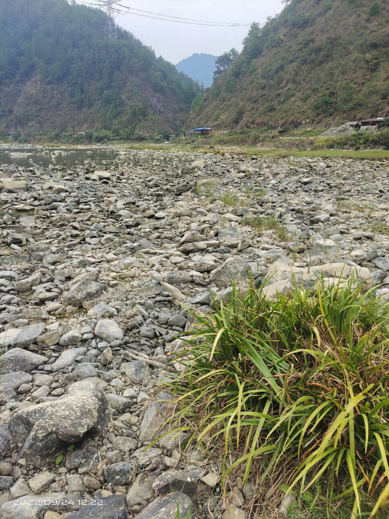 野外，小溪河边石头