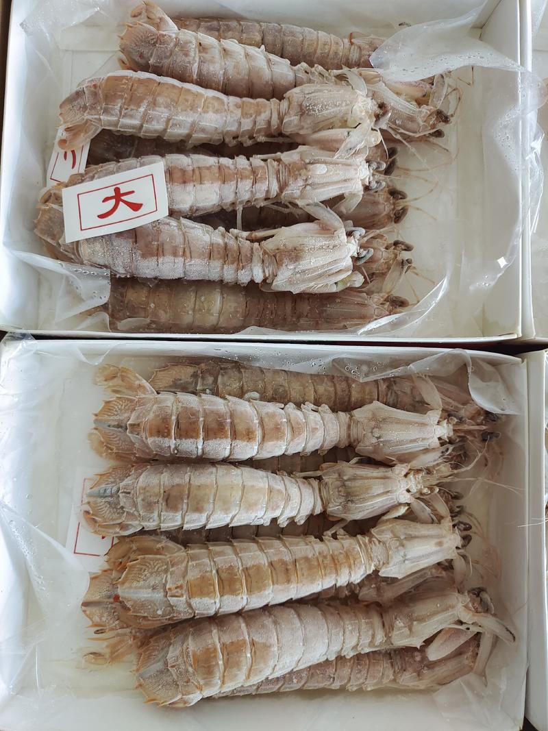 活煮皮皮虾，选用北部湾海域薄壳皮皮虾来活煮。